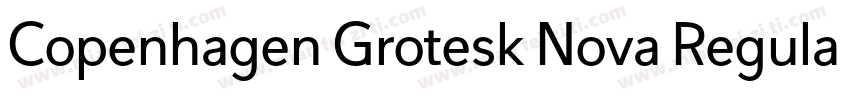 Copenhagen Grotesk Nova Regular字体转换